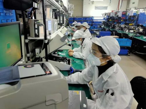 數(shù)據(jù)驅(qū)動復(fù)蘇 2月失業(yè)率回落至6.2% 全面復(fù)工與數(shù)據(jù)處理服務(wù)助力勞動力市場回暖